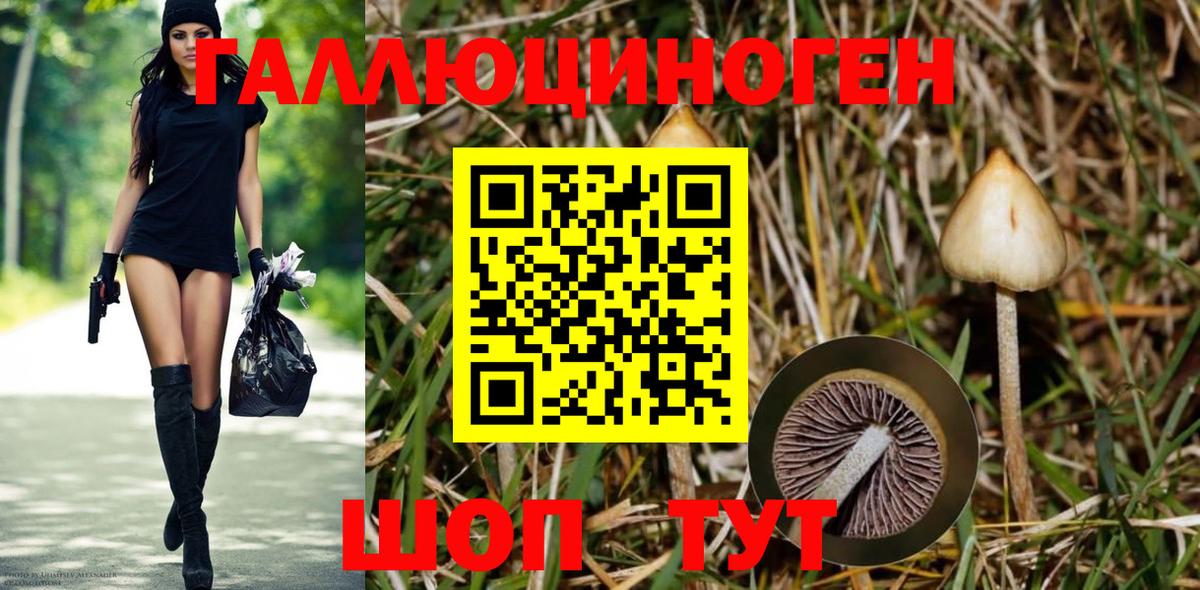 Псилоцибиновые грибы ЛСД Тельмана