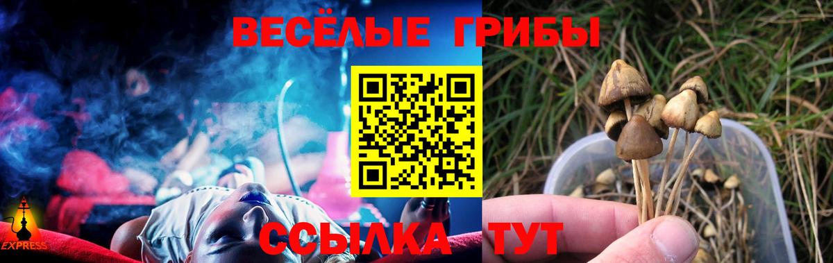 Галлюциногенные грибы Psilocybine cubensis  Вход с VPN  Тельмана 