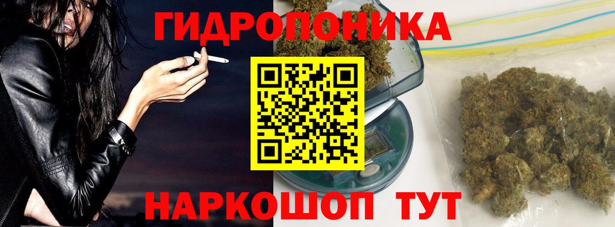 Канабис гибрид Тельмана